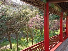 -南汇桃花村