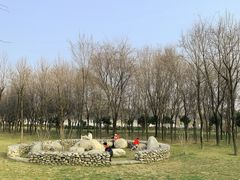 -洨河生态公园