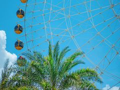 -三亚海昌梦幻海洋不夜城