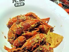 -龙巢盱眙龙虾·牛蛙·烧烤宵夜(八卦岭店)