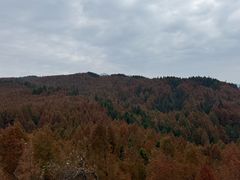 -山王坪喀斯特国家生态公园