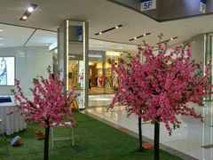 -远洋未来广场(育慧北路店)