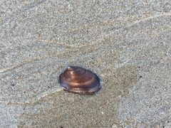 -北海金海湾红树林生态旅游区