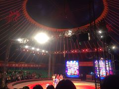 -环球城国际大马戏