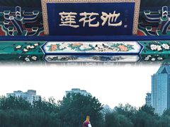 -莲花池公园