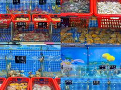 -双月饭店·20年老字号(新村店)