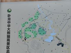 -卧龙中华大熊猫苑神树坪基地
