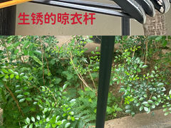 -三亚亚龙湾铂尔曼别墅度假酒店