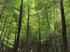 -敬亭山风景名胜区