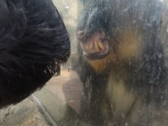 -泉州海丝野生动物世界