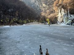 -少华山国家森林公园