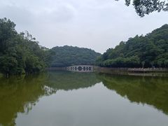 -李小龙乐园(顺德均安店)