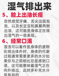 -Fundi张玉珊修身堂·indiba·BTL科技瘦身