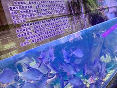 -梦幻海洋王国(吾悦广场张家港店)
