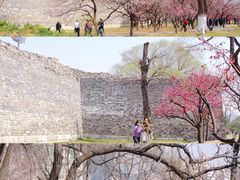 -北京明城墙遗址公园