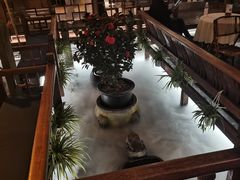 -三只耳火锅(宽窄巷子店)