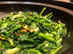 砂锅养生野菜-金春禧(世茂国际广场店)