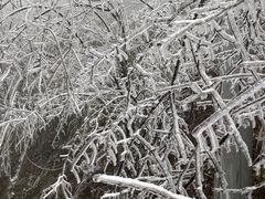 -井冈山风景名胜区