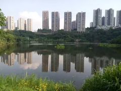 -重庆彩云湖湿地公园