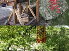 -丹东天桥沟景区