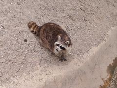 -济南野生动物世界