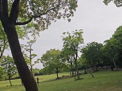 -上海吴淞炮台湾国家湿地公园