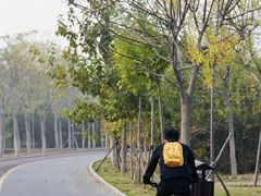 -天津东丽湖风景区