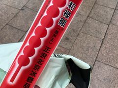 -和禄德冰糖葫芦