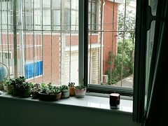 -甲乙果 美术书法(通州校区)