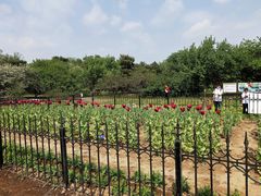 -国家植物园南园