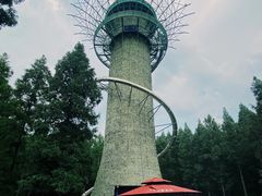 -黄海国家森林公园