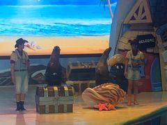 -三亚海昌梦幻海洋不夜城