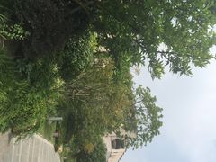 金茂凯悦酒店-上海崇明金茂凯悦酒店