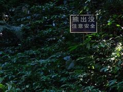 -莫里热带雨林景区