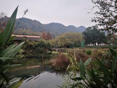 -中国茶叶博物馆(双峰馆区)