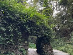 -常德桃花源景区
