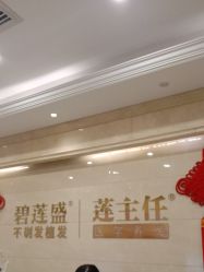 -碧莲盛·不剃发植发