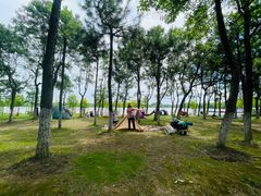 -上海海湾国家森林公园