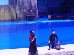 -华夏文旅海洋公园