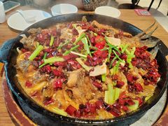 -老板恋上鱼(恒隆广场店)