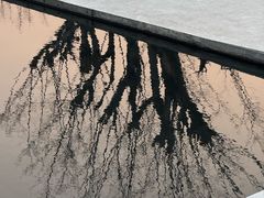 -中国宣纸文化园