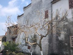 -前童古镇