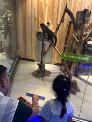 -未来动物城动物主题公园(大悦城店)