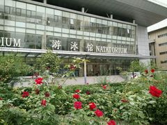 -北京西城广安体育馆