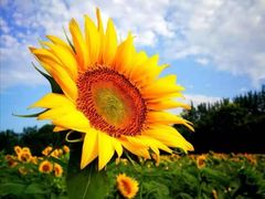 -许记生煎(遵义路店)