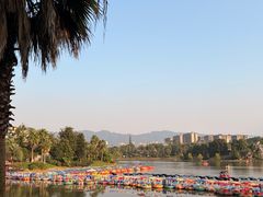 -枫香湖儿童公园