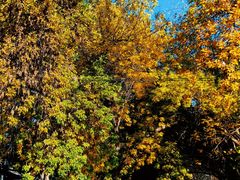 -婕妮璐超市 Jenny Lou’s Shop(三里屯店)