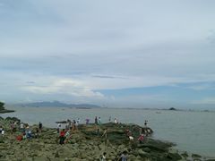 -野狸岛