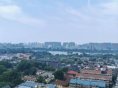 -梧桐餐厅(泉城路店)