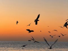 -庆山饭店·海鲜饺子家常菜(北戴河黑石路店)